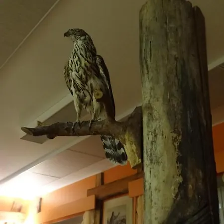 Taiga Maja Hattuvaara