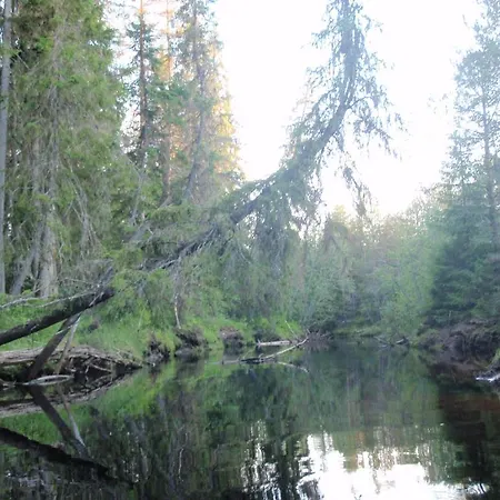 Taiga Maja
